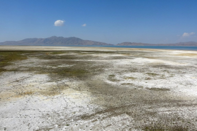 Kuş cenneti Erçek Gölü’nün kıyı şeridi buhar oldu