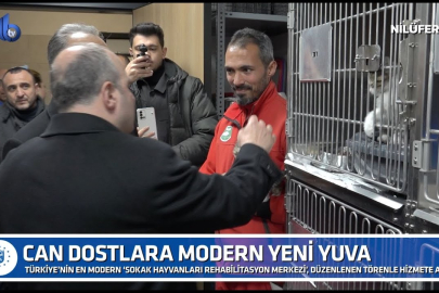 Can dostlara modern yeni yuva