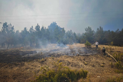 Bursa'daki orman yangını devam ediyor