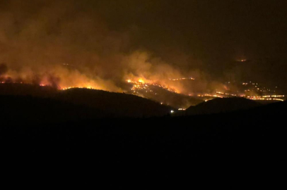 Diyarbakır’da anız yangını: 5 ölü, 10’u ağır 44 kişi yaralandı