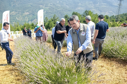 Orhaneli’nde lavanta hasadı başladı