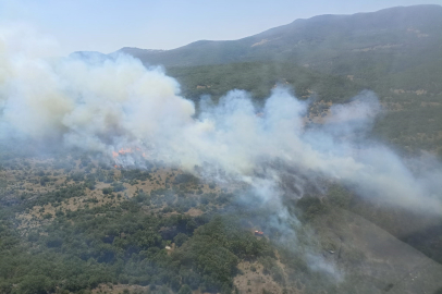 Bursa'da orman yangınına havadan ve karadan müdahale sürüyor