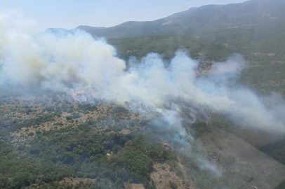 Bursa'daki orman yangını kontrol altına alındı