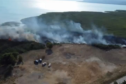 İznik Gölü'nde sazlık yangını