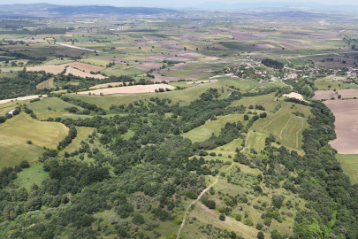 2025'in en trend yatırım aracı arazi olacak