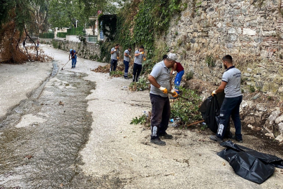 Temiz çevre için güç birliği