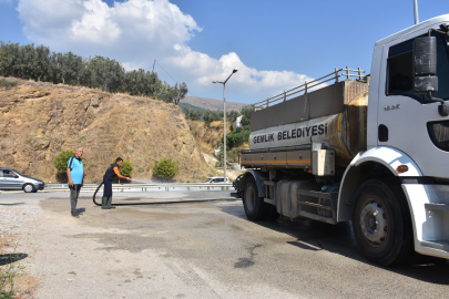 Gemlik'te dört koldan temizlik