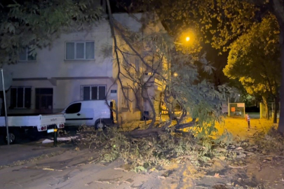 Bursa Büyükşehir Belediyesi lodosa karşı uyardı