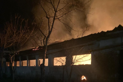 Bursa'da büyükbaş hayvan çiftliğinde yangın