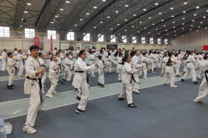 Osmangazi’de karate eğitim semineri